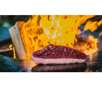 2026 Grill-Seminar Der Anfang