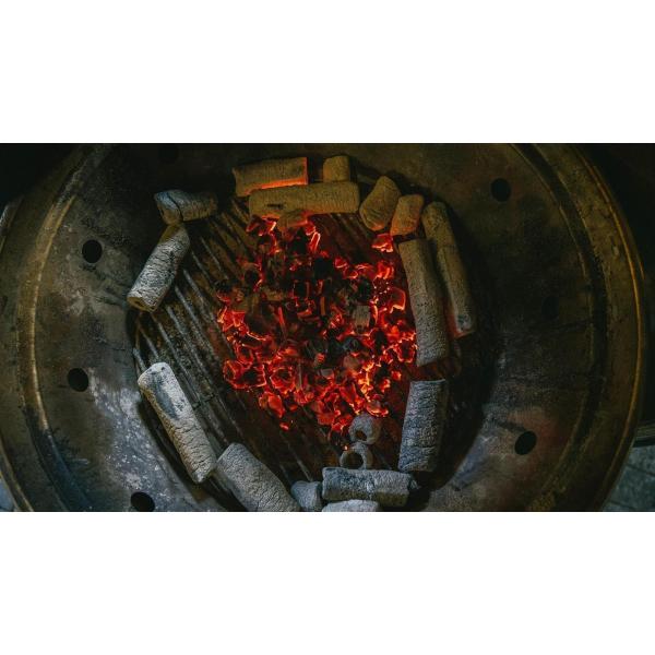 2026 Grill-Seminar Wild