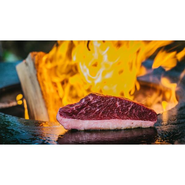 2027 Grill-Seminar Der Anfang